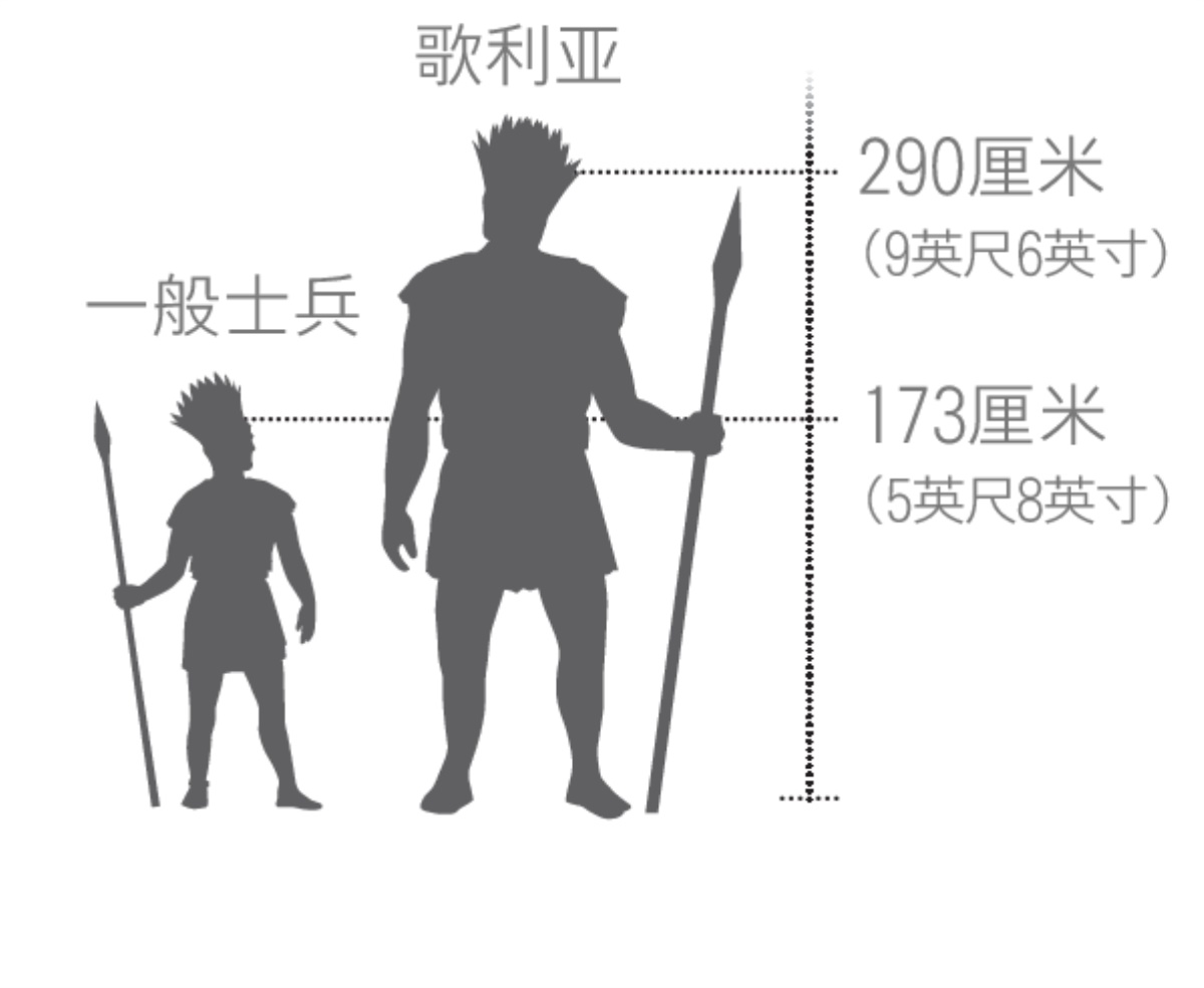 歌利亚和一般士兵的对比图