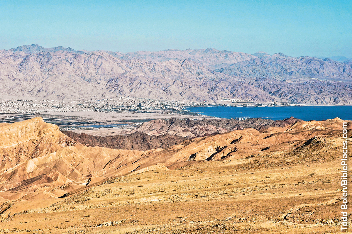 ［第542頁的圖片］