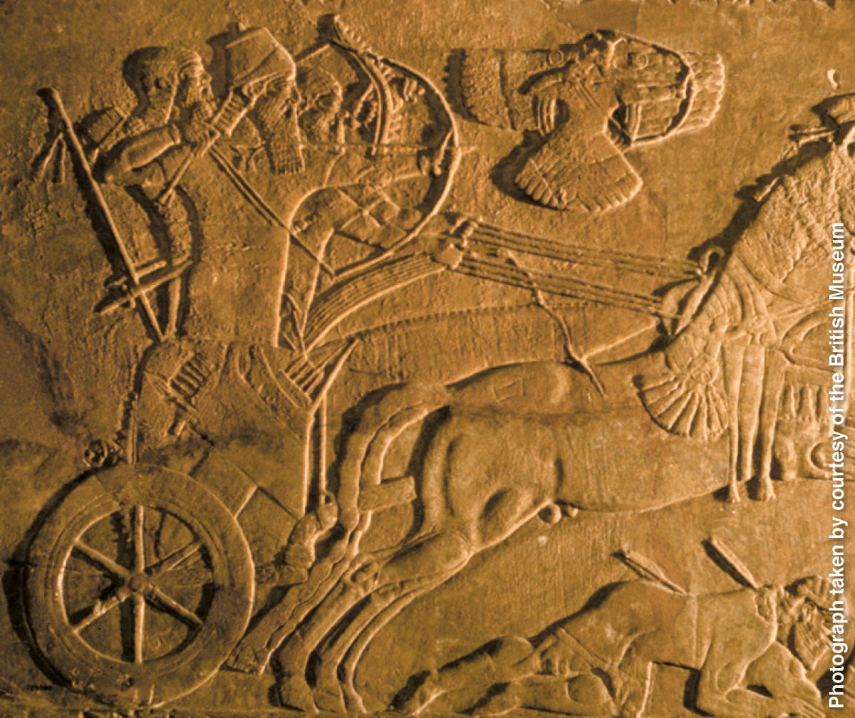 ［第450頁的圖片］