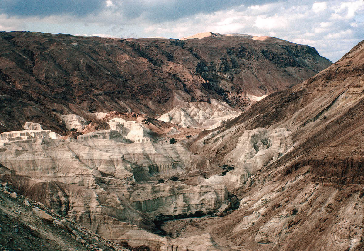 ［第747頁的圖片］