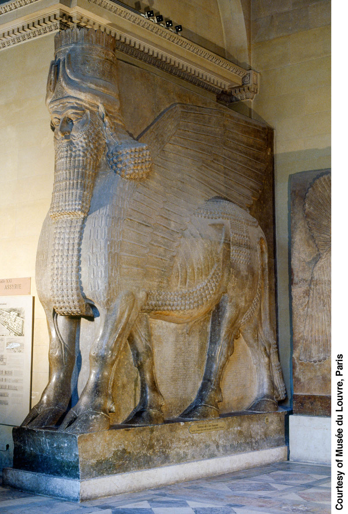 ［第955頁的圖片］