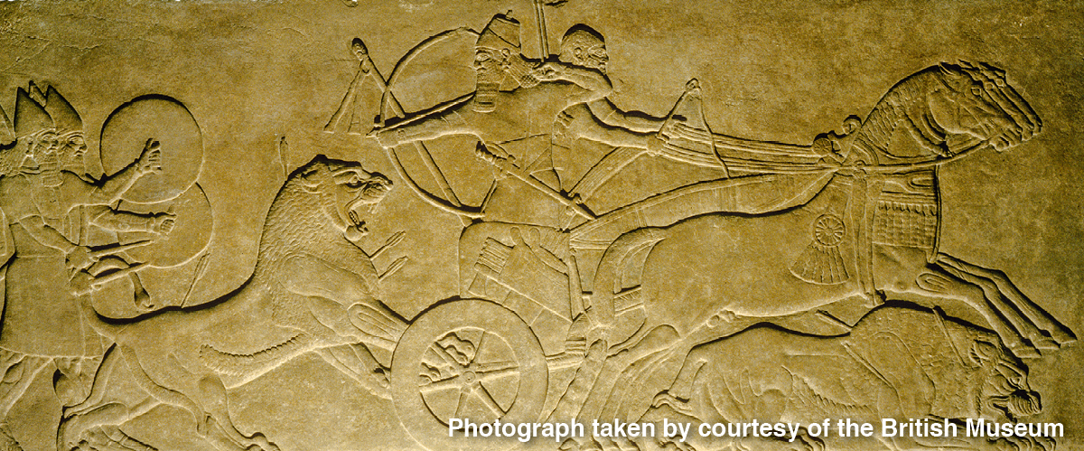 ［第955頁的圖片］