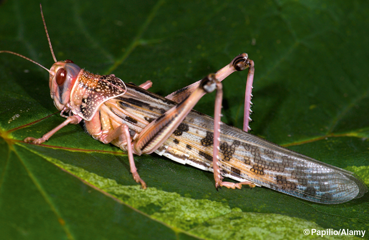 ［第610頁的圖片］