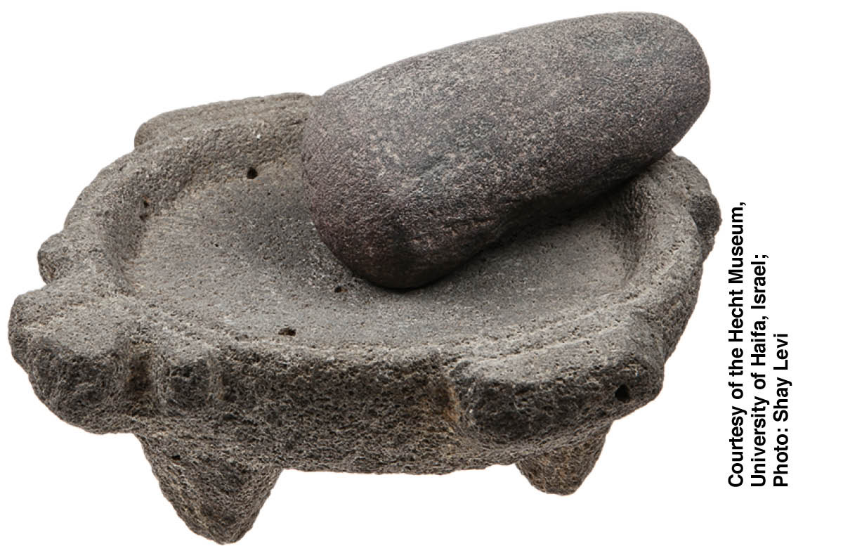 ［第811頁的圖片］