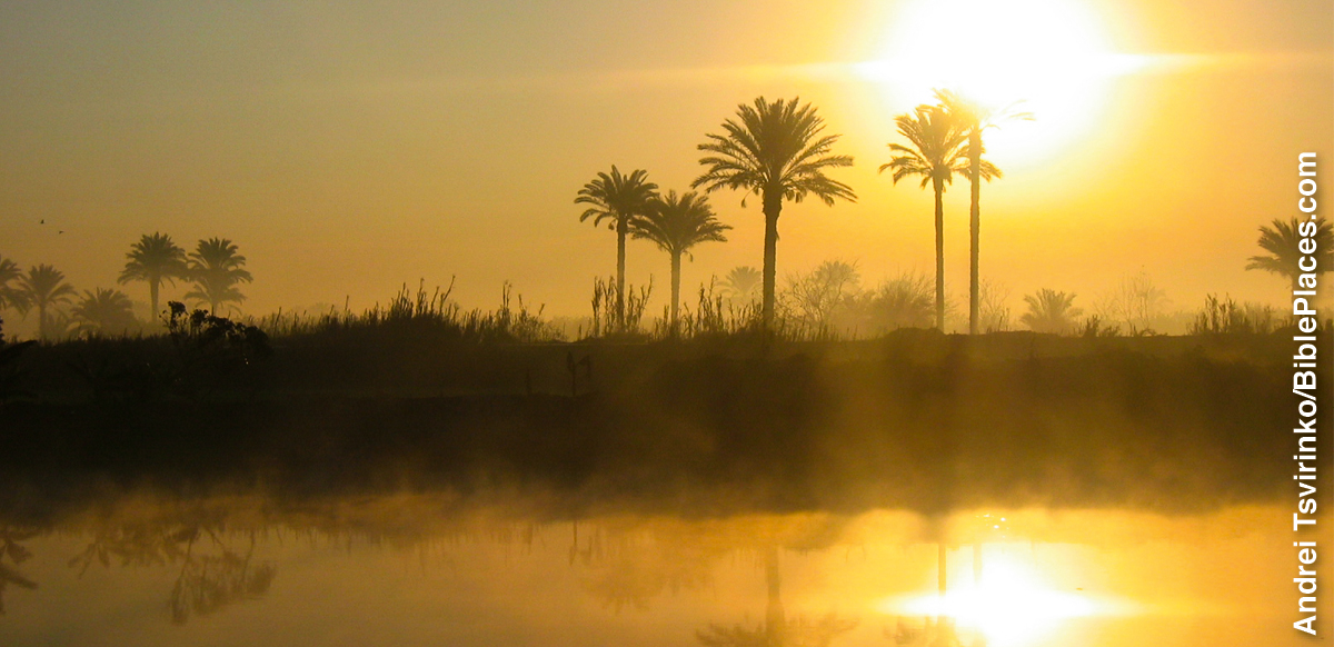 ［第1181頁的圖片］