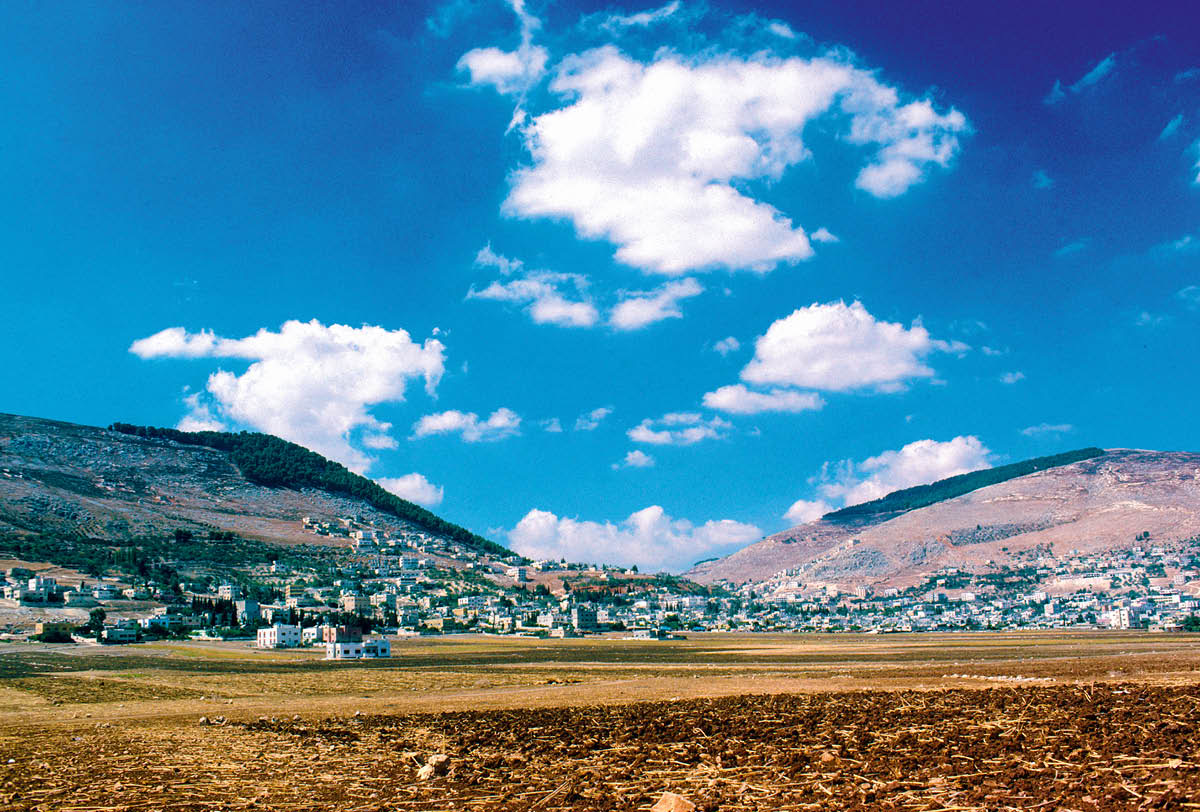 ［第331頁的圖片］