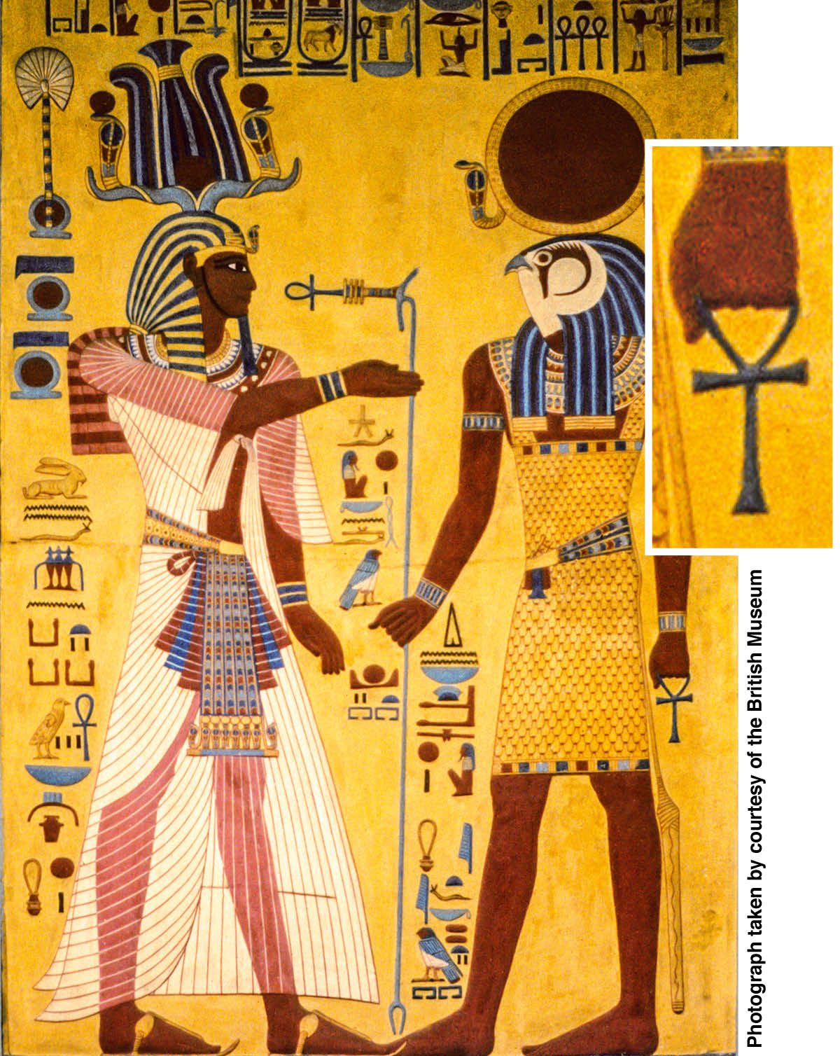 ［第530頁的圖片］