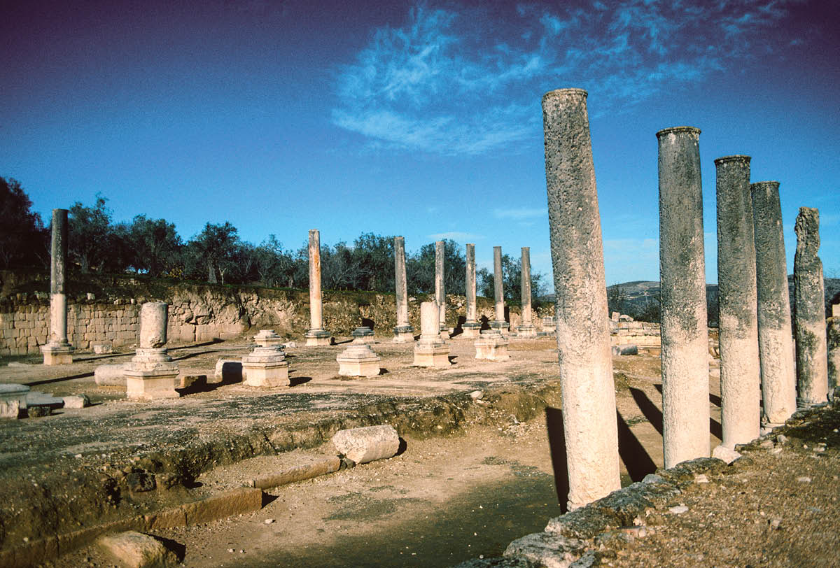 ［第745頁的圖片］