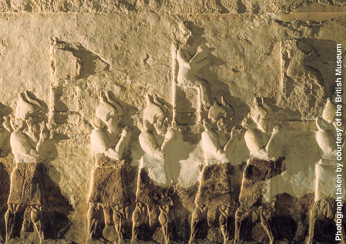 ［第731頁的圖片］