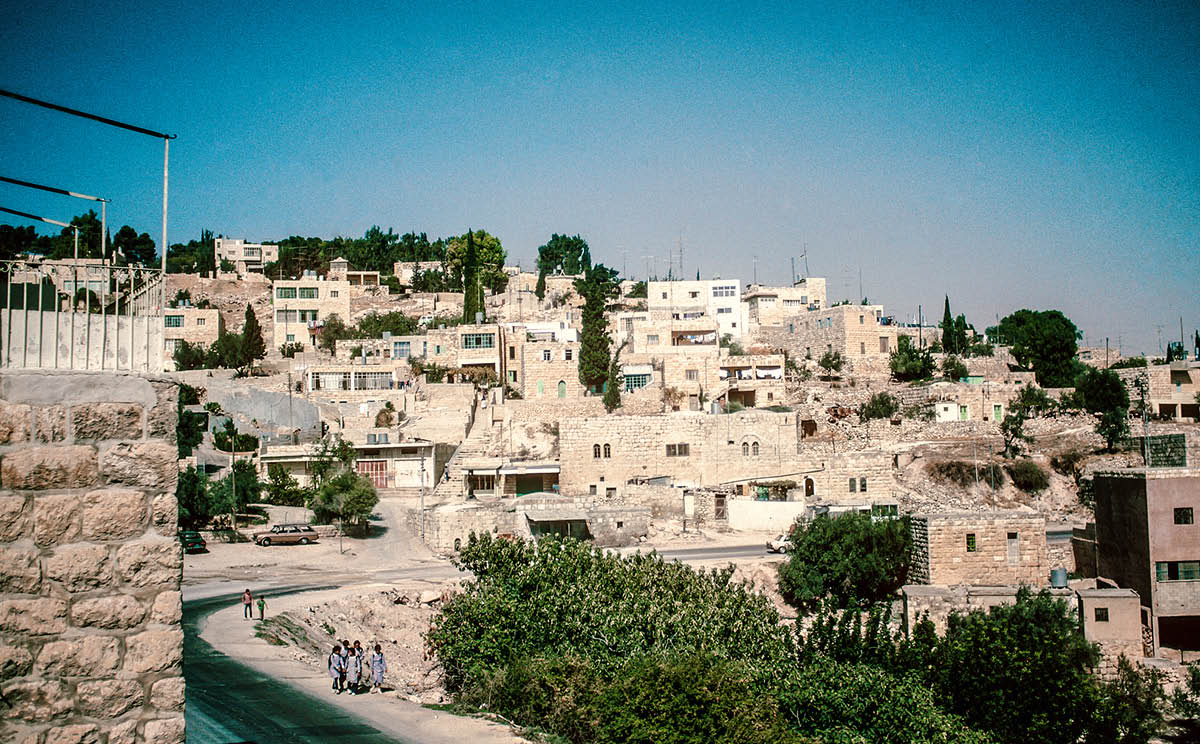 ［第950頁的圖片］