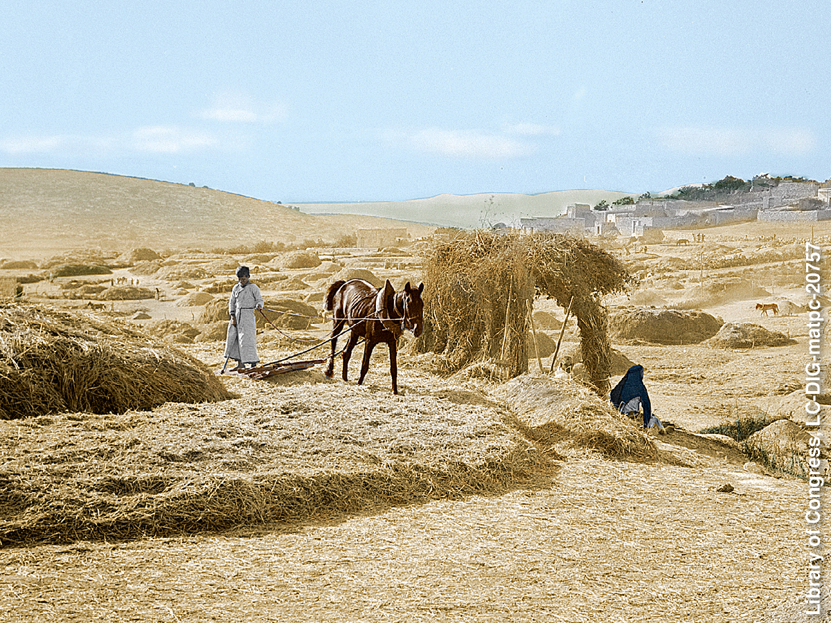 ［第953頁的圖片］