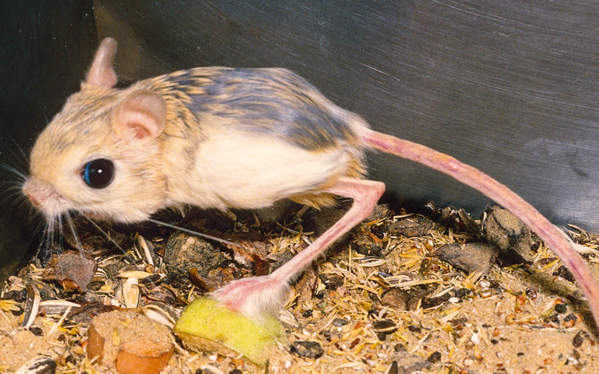 ［第401頁的圖片］