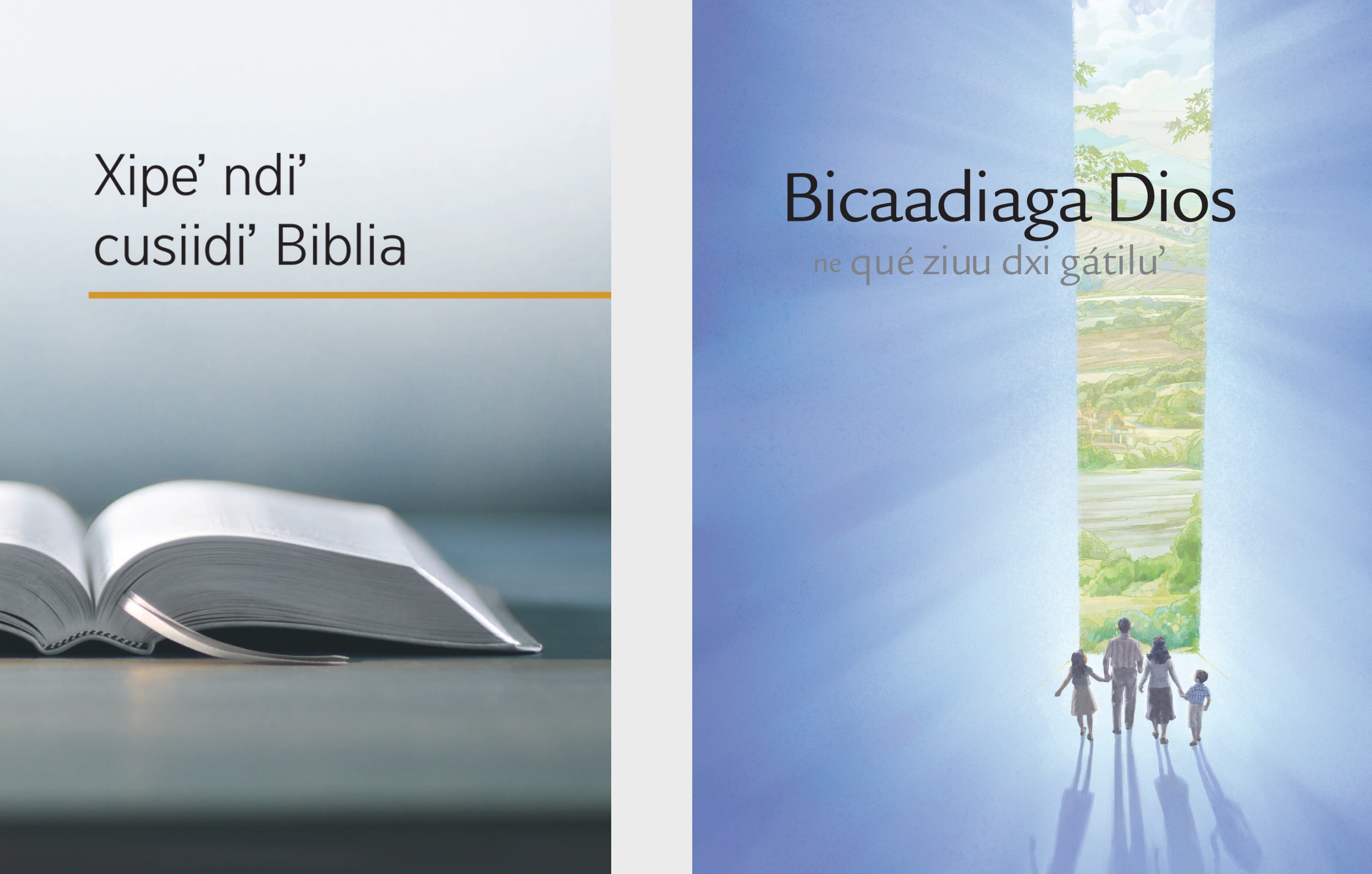The book ‘What Can the Bible Teach Us?’ and the brochure ‘Listen to God and Live Forever.’