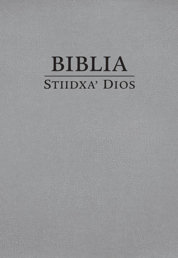 Portada stiʼ Biblia Stiidxaʼ Dios