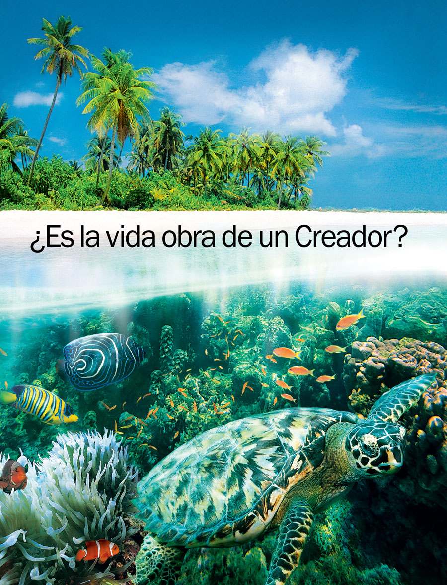 ¿Es la vida obra de un Creador?