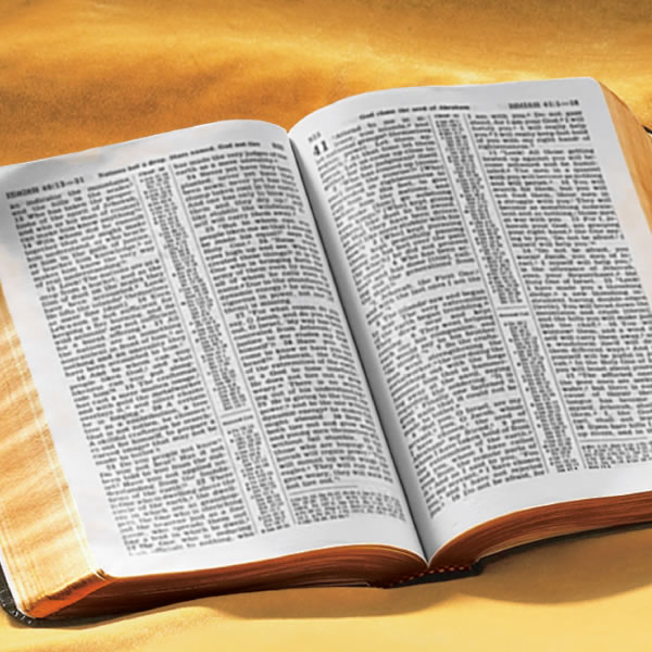 An open Bible and the title of the book, “What Does the Bible Really Teach?”