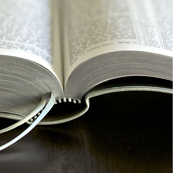 Cover of the New World Translation of the Holy Scriptures